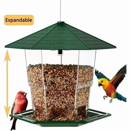 Bird Feeder