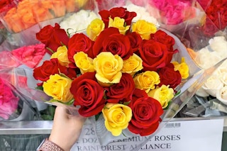 A bouquet of costco flowers filled with yellow and red roses