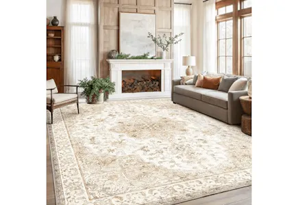 Area Rug