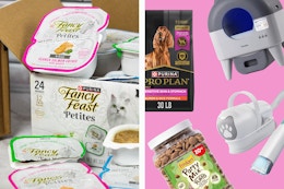 amazon pet deals