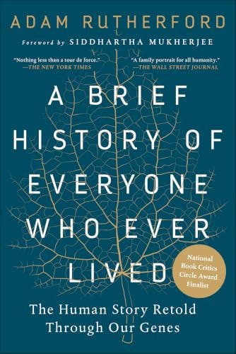 A Brief History of Everyone eBook