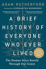 A Brief History of Everyone eBook