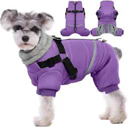 Small Dog Winter Coat with Harness