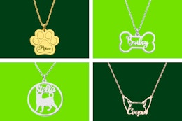 Personalized Pet Necklaces, Only $25 Shipped at Limoges Jewelry (Reg. $60) card image