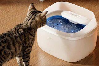 a cat drinking from a water fountain