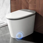 Smart Toilet
