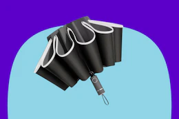 Reverse Folding Umbrella