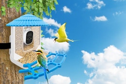 This $160 Smart Bird Feeder With AI Recognition Is Just $85 on Amazon card image