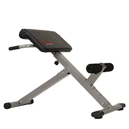 Sunny Health & Fitness Roman Chair