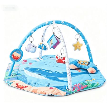 Baby Gym Play Mat