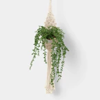 Threshold Hanging String of Pearls