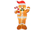 Christmas Inflatable