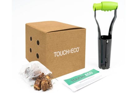 Dutch Iris Flower Bulbs With Plant Tool