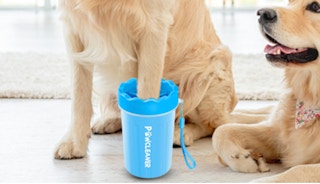 a dog with their paw in a blue paw cleaner 