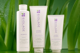 Biolage bottles lined up together