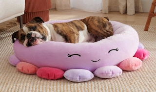 screen shot 2023 09 22 at 90838 am 1695391743 1695391744