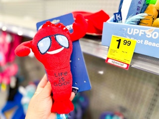 cvs-summer-clearance-pet-toy