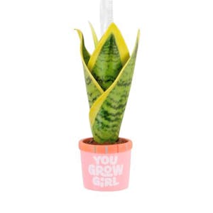 Hallmark Houseplant Ornament