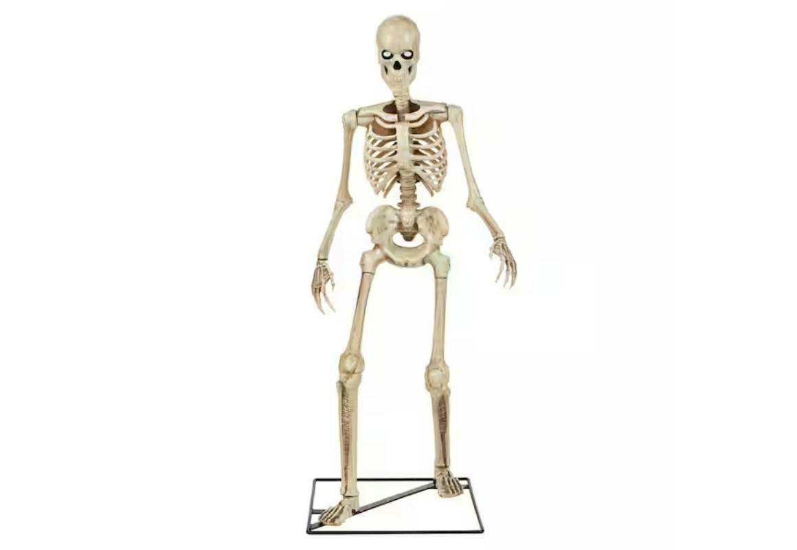 LED Skeleton