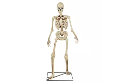LED Skeleton