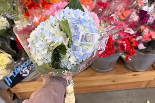 trader-joes-june-21