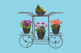 Clearance Find: 6-Tier Garden Cart, Just $35 at Walmart card image