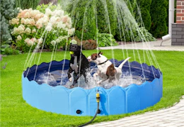 walmart xxl dog pool