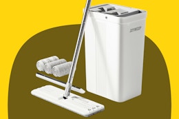 Walmart mop and bucket set