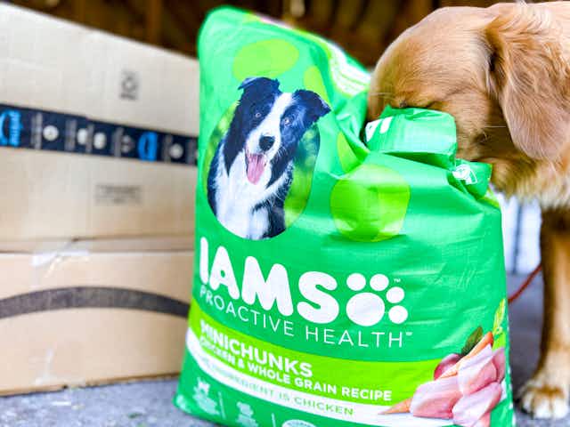 Iams Proactive Health 30-Pound Dog Food, Now $28.28 on Amazon card image