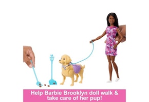 Barbie Brooklyn Doll Set