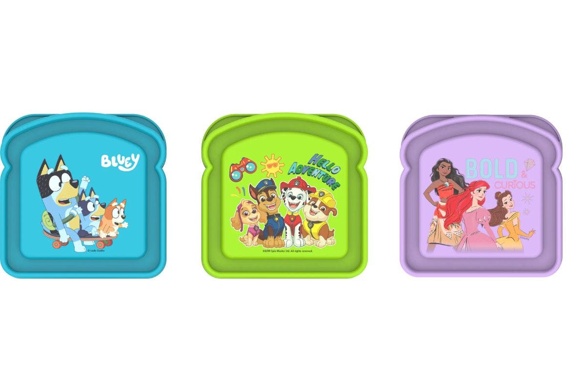 Licensed Sandwich Containers 24-Pack