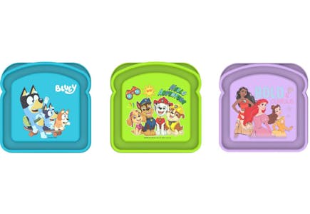 Licensed Sandwich Containers 24-Pack