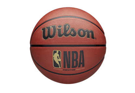 Wilson NBA Basketball
