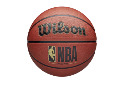 Wilson NBA Basketball