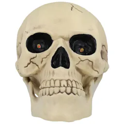 Skull Head