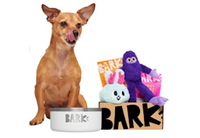 BarkBox + Free Yeti Bowl