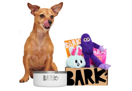 BarkBox + Free Yeti Bowl