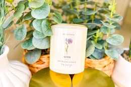 Up to 75% Off Candle Clearance at Walgreens — Prices Start at $2.49 card image