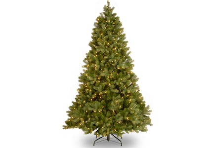 Christmas Tree with Free Echo Dot