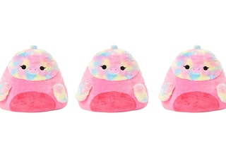 zulily squishmallow 1676734134 1676734134