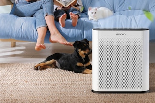 Air Purifier in a living room