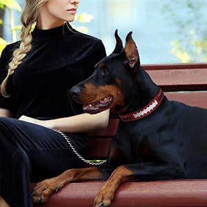 Leather Pet Collar
