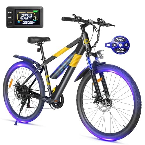 Adult Electric Bike