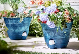 qvc planters