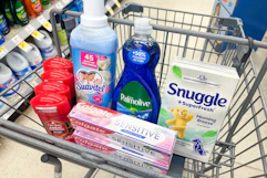 walgreens groceries in shopping cart
