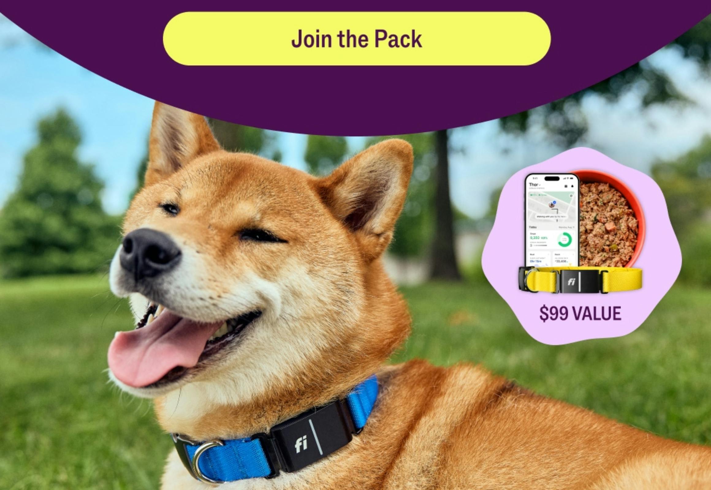 Ollie Dog Food + Free GPS Tracker