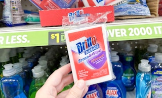 dollar general brillo basics sponge