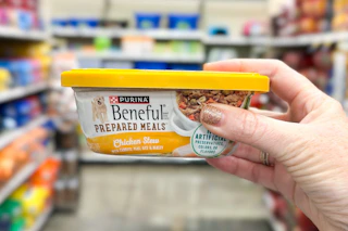 hand holding purina beneful dog food