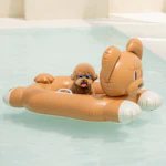 Dog Pool Float Raft
