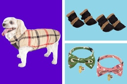 Zulily Pet Apparel